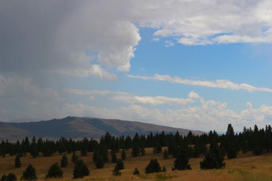 Blue Mountain Recreational Area